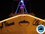 THE SHERYLL PRINCESS, Sheepshead Bay